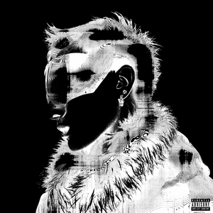 草莓视频下载导航
