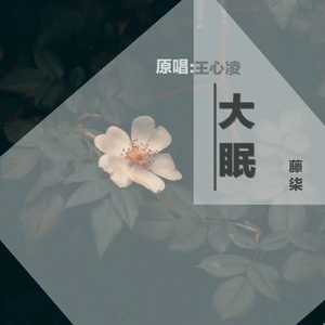 草莓视频下载导航
